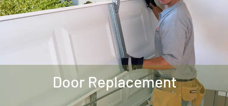  Door Replacement 