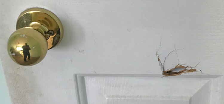 interior door hole repair Corte Madera